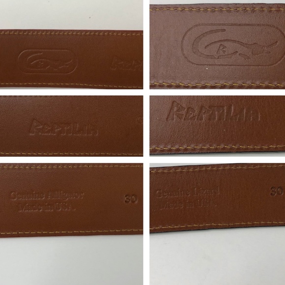 Reptilia Black Lizrd Belt & Red Alligator Belt 30 main image 5